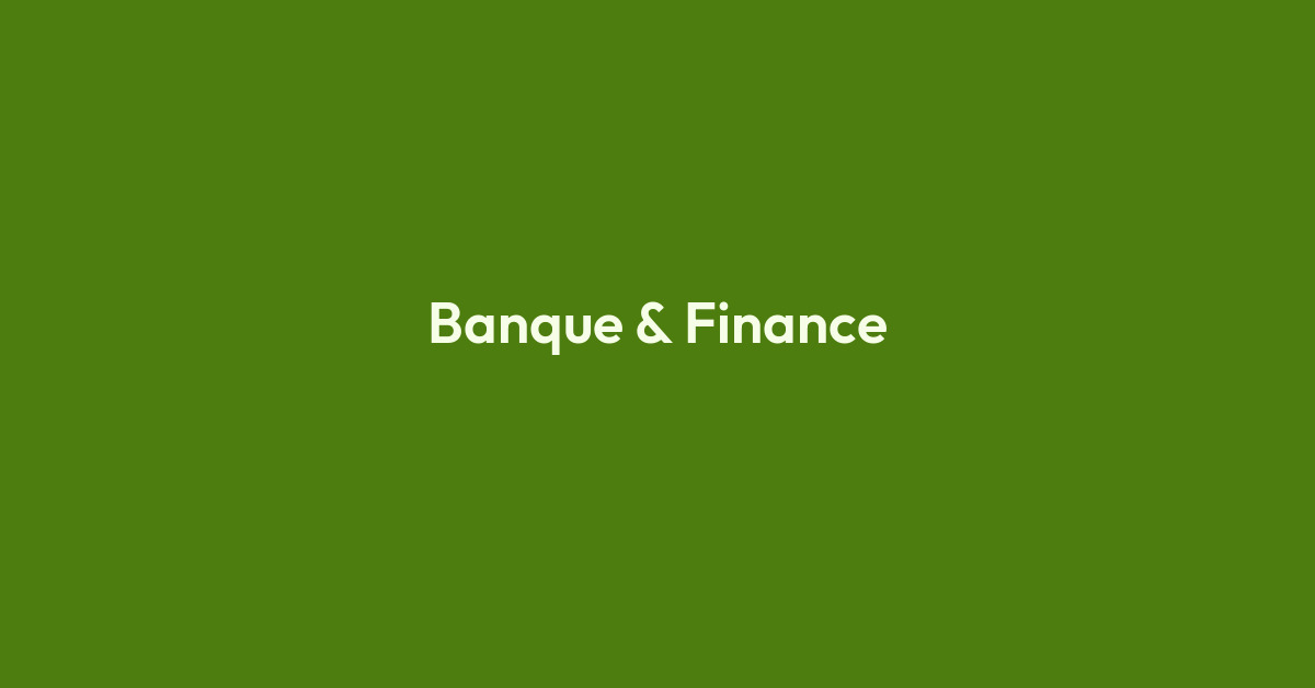 Marchés financiers et financement bancaire pour entreprises - Finance Pragmatique